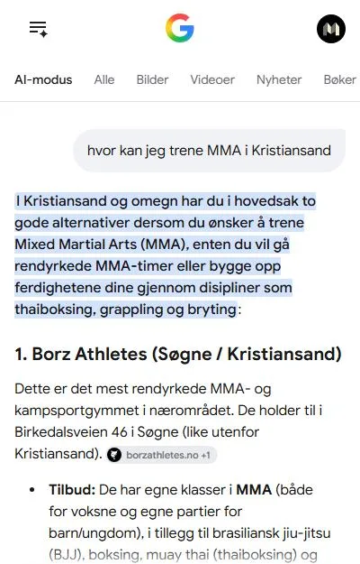 Google AI-modus lister Borz Athletes som nummer én for MMA i Kristiansand