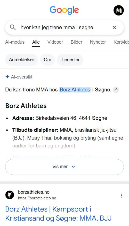 Google AI-oversikt svarer at du kan trene MMA hos Borz Athletes i Søgne, med Borz som første søketreff under