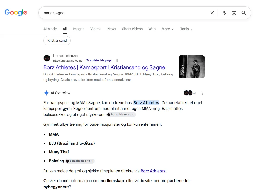 Google-søk på mma søgne fra august 2026 med Borz Athletes som første treff og en AI-oversikt som anbefaler Borz