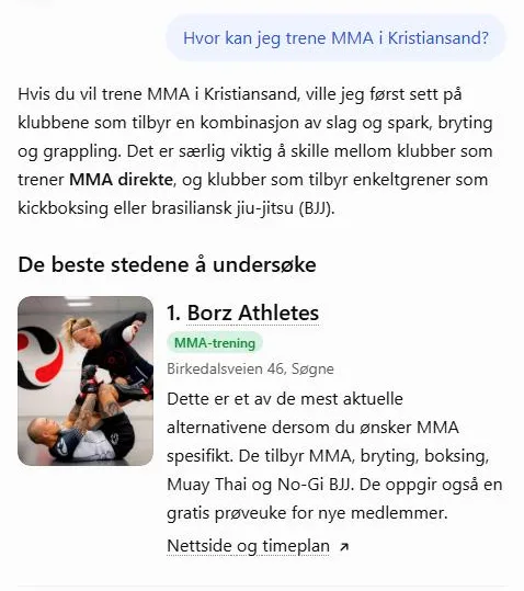 ChatGPT lister Borz Athletes som nummer én for MMA-trening i Kristiansand